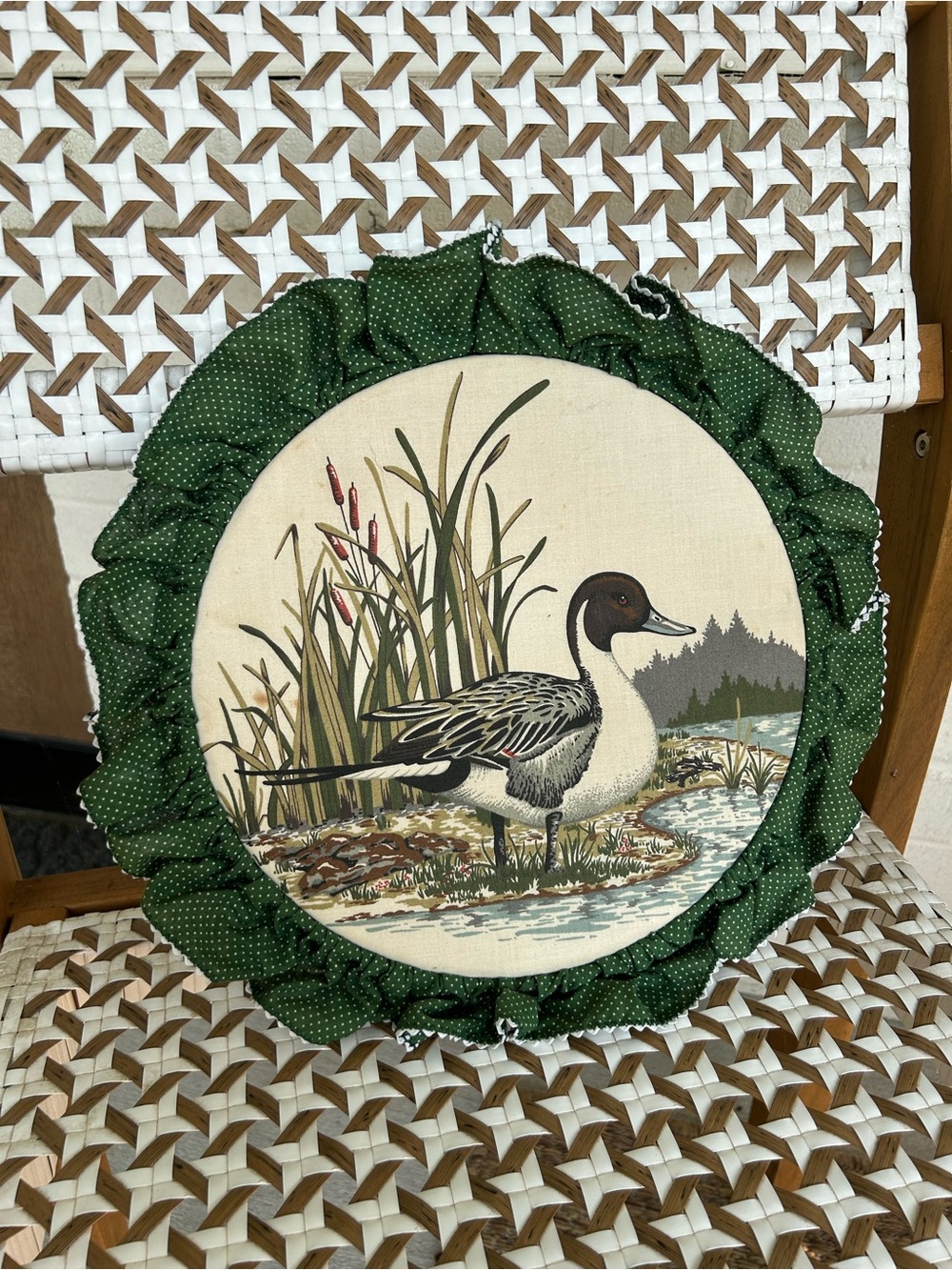 Vintage Green fabric Duck Wall Art